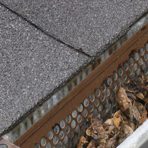 Gutter Cleaning