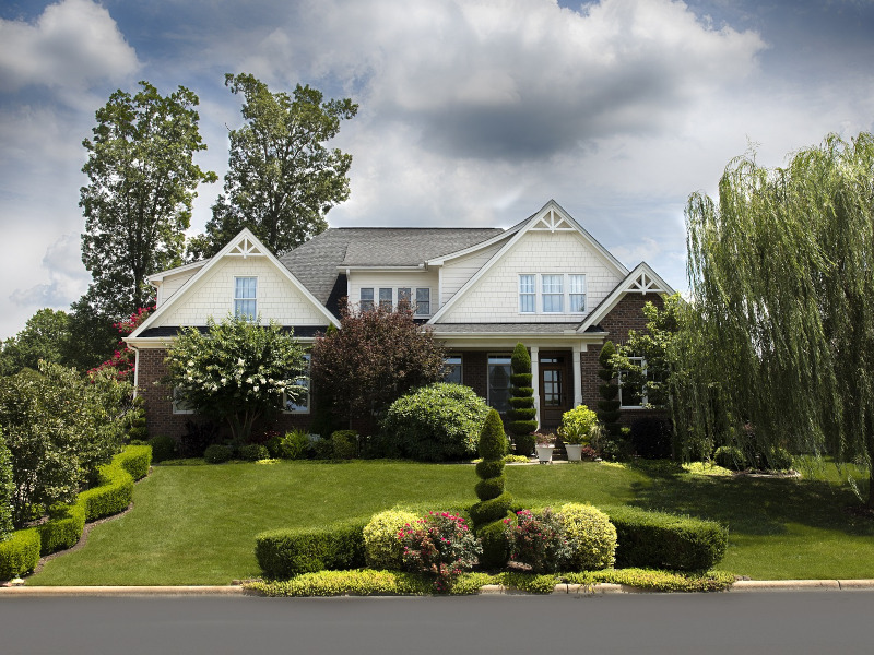 Shrub Cutting, Lawn Trimming, Mowing
